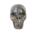 Fossil Shell Totenkopf Skull - 271g