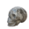 Fossil Shell Totenkopf Skull - 227g