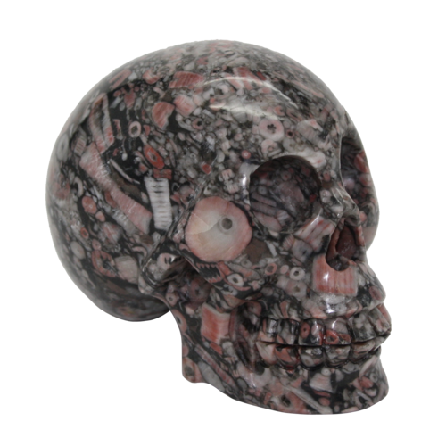Crinoid Fossil Jaspis Totenkopf Skull - 271g