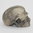 Corol Fossil Jaspis Totenkopf Skull - 208g