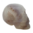 Achat Geode Kristall Totenkopf Skull 169g